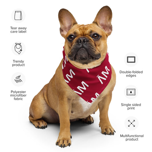 Amani-E Puppy Bandana